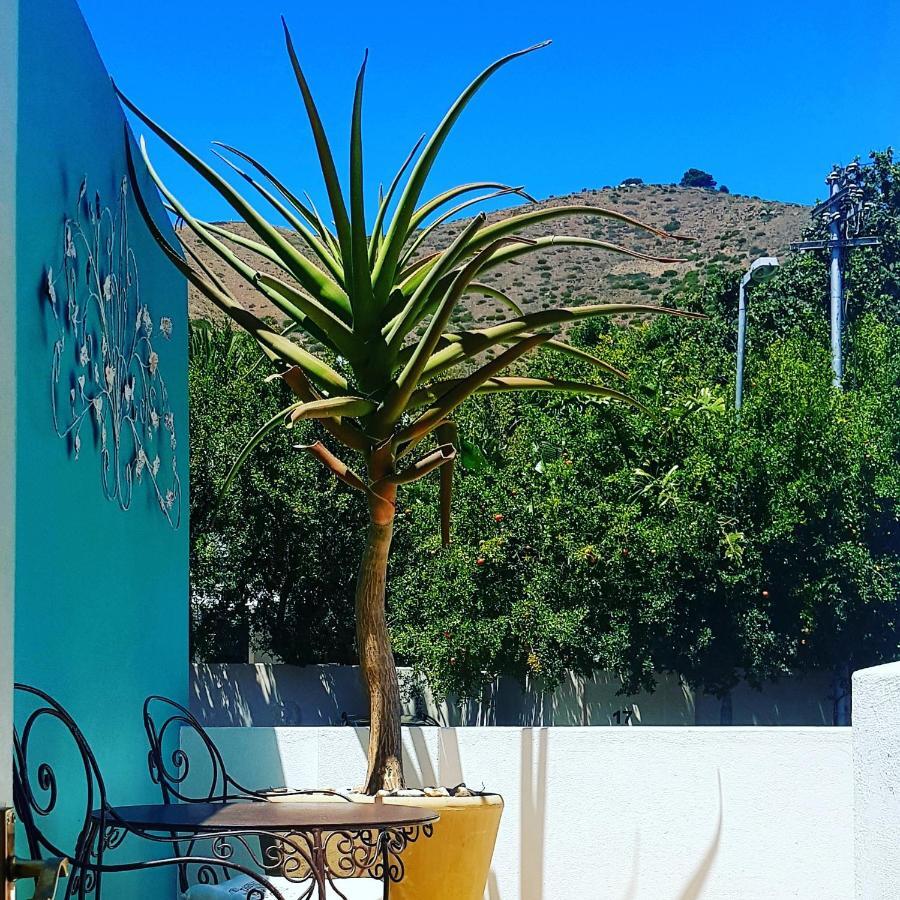 Avatara Bed & Breakfast Cape Town Bagian luar foto